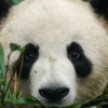 Thumbnail of related posts 094