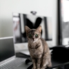 Thumbnail of related posts 005