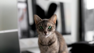 Thumbnail of post image 046